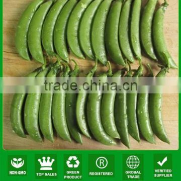 NPE03 Tiande high yield sugar pea seeds guangzhou