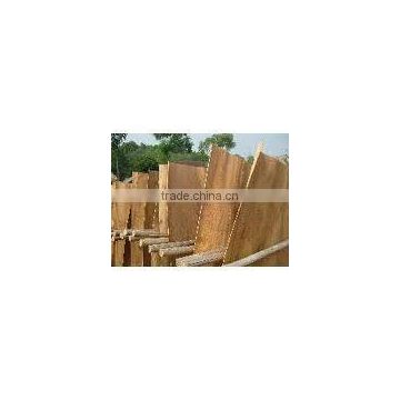 short Eucalyptus core veneer