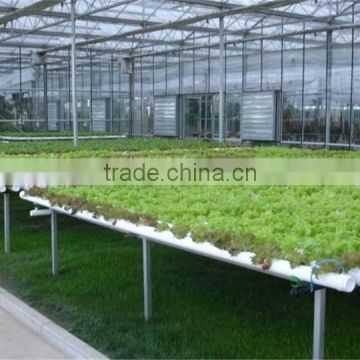 Agricultural Greenhouses Type Commercial Hydroponics Greenhouse