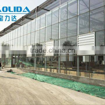 Multi-span Glass Tunnel Greenhouse photo-6