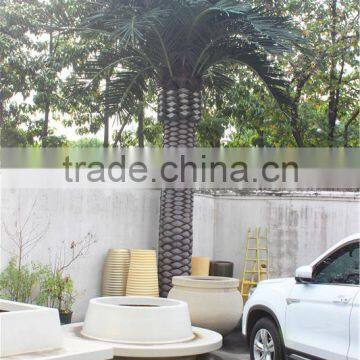 Home Garden Decoration 100cm to 1000cm Height Artificial Indoor Live Plastic Ficus Red With Green Palm Tree EZLS05 1002 photo-4