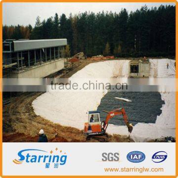 Composite Geomembrane photo-6