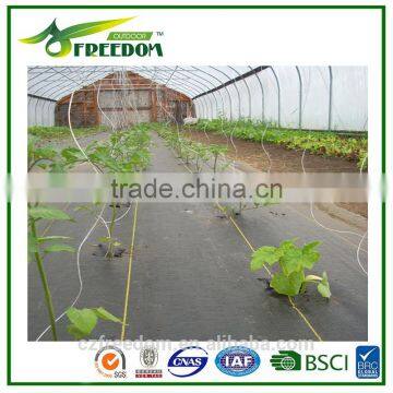 Weed Control Fabric China Manufacturer of 80g-200g per Square Meter photo-5