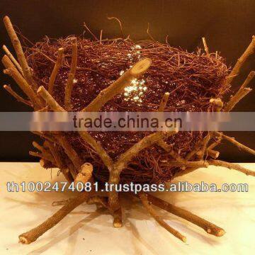 Bird nest