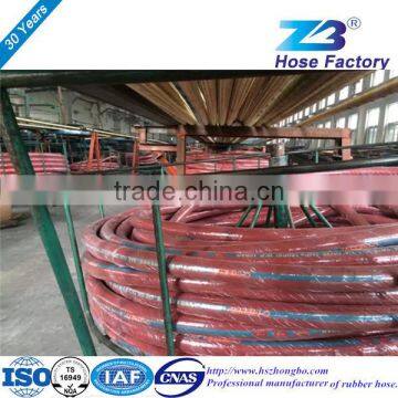 Steam Flexible Hose