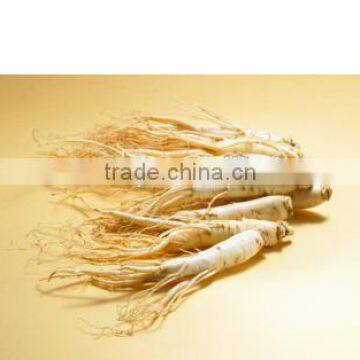 Private Label Detox Chinese Ginseng Slimming Tea 2g *20 Bags /box Green Tea With Ginseng Slimming Tea Bags photo-4