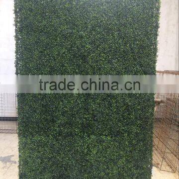 Dongguan LZY Outdoor Artificial Boxwood Hedge Wall photo-2