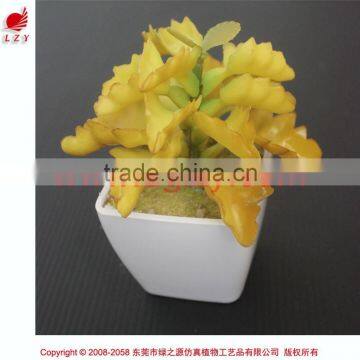 Cheap Wholesale Artificial Succulent Plants Tropical Plants photo-4