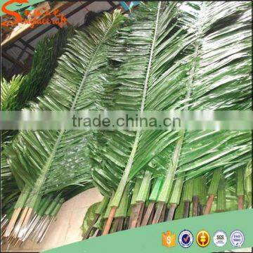 2015 Hot Sale Outdoor Large Fake Plastic Palm Tree Plants and Artificial Palm Tree Decorative photo-5
