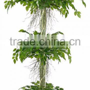 Songtao Company High Quality Artificial Plants Potted Plant Bonsai Tree 185cm Plastic Lucky Tree photo-5