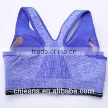 GZY 2015 Hot Sell Leisure Sport Elastic Band for Sports Bra photo-3