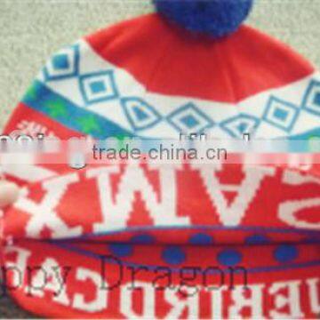 Promotion Custom Knitted Acrylic Beanie,hat,cap photo-4