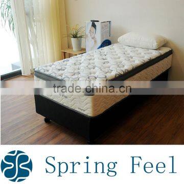 School Mattress Tight Top Roll Up Spring Mattress Posture Plus