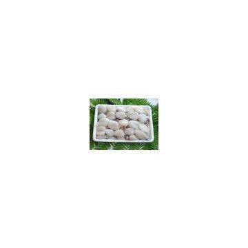 Indonesia Frozen Seafood, Cuttlefish, Squid, Fish