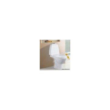 Sell Washdown Separated Toilet