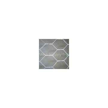 Hexagonal Wire Mesh (fence)