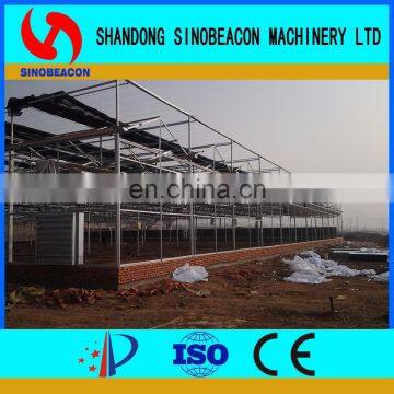 2017 Hot Sale Used Commercial Mushroom Greenhouse
