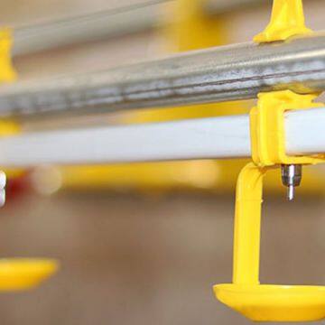 Automatic Poultry Farm Equipment Chicken Drinking System for Broiler Farm photo-2