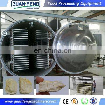 Industrial Vacuum Freeze Drying Equipment Vacuum Dryer Fruit photo-4