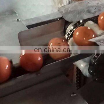 Professional Commercial Duck Egg Cleaning Machine For-egg photo-5