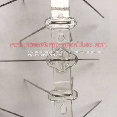 High-quality UV Treatment Stainless Steel Anti Bird Spikes Pigeons Cat Control photo-3