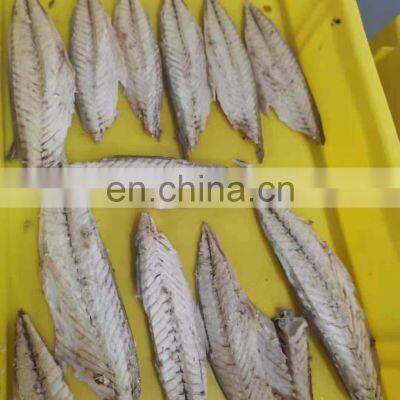 Wholesale Frozen Steamed Mackerel Fillet Block photo-3