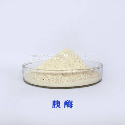 Pancreatin CAS:8049-47-6 Pangbo Enzyme