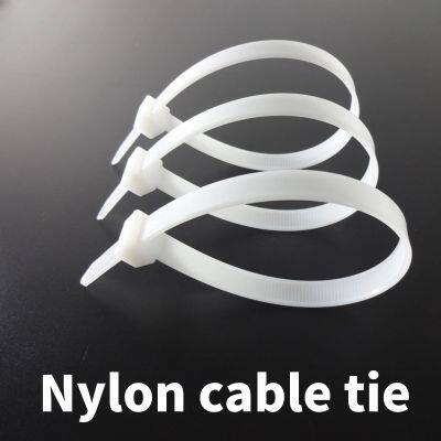 Nylon Cable Tie/Nylon Cable Zip/self-lock Cable Tie/size:12*300mm photo-2