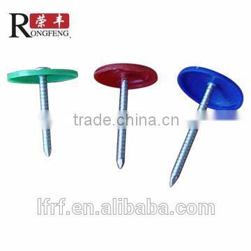 12G*7/8'' High quality plastic round cap anchor