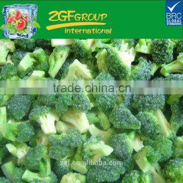 iqf frozen broccoli