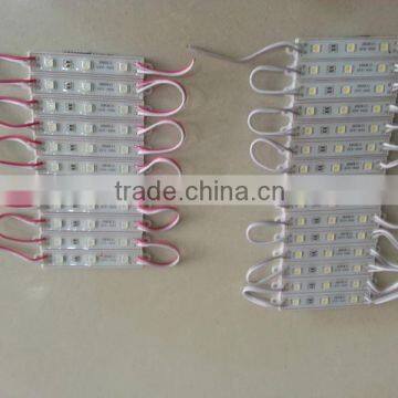 Red Tube 2 Chips Bright Flexible Led Modules