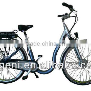 250W motorised Electric Bike