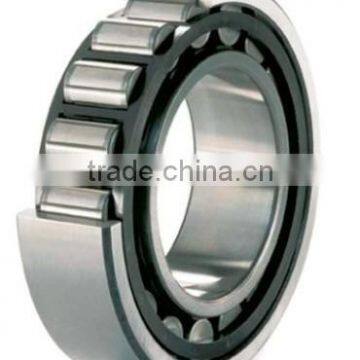 bearing china cylindrical roller bearing NNC4860V SL014860