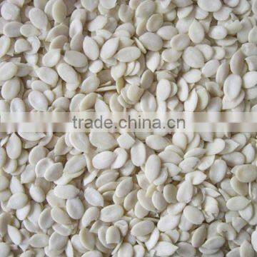 Hulled WaterMelon Seeds photo-4