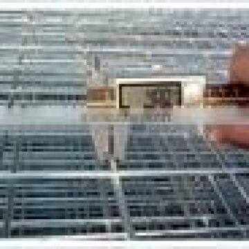 Concrete Reinforcing Galvanized Welded Wire Fence Panels Guangzhou Factory Direct photo-3