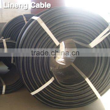 Lineng YJLV 2*10 Low Voltage 2 Core Aluminum Electrical Power Cable