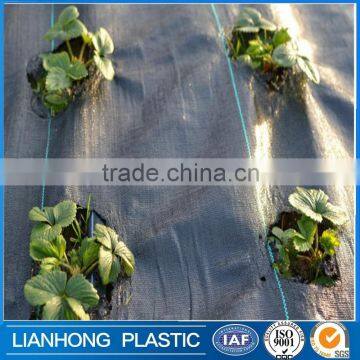 UV stabilized Agriculture Black weed barrier fabric with 70gsm 80gsm 100gsm