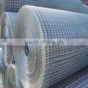 Best price !!Welded wire mesh ( factory)