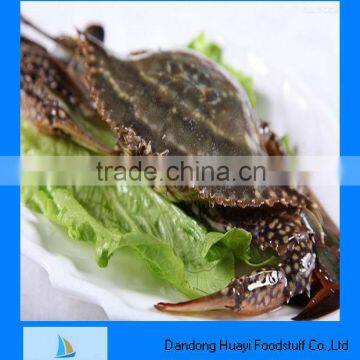 Fresh frozen high quality blue crab price