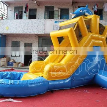 Dolphin Backyard Inflatable Water Slide