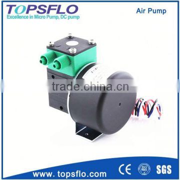 Diaphragm 12v 24v dc brushless mini indoor air analyzer pump