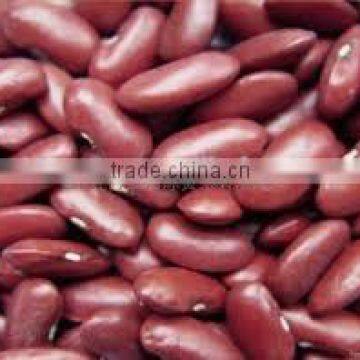 red kidney beans with good quality for sale