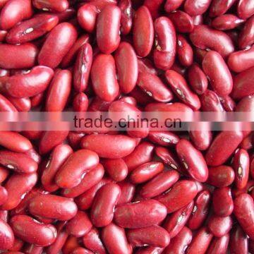 Dark red kidney beans with excellent FOR SALE