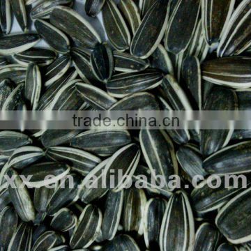 5009 sunflower seed