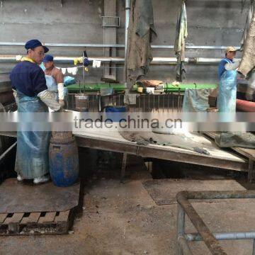 QX200 Flat Modular Belt Conveyor photo-3