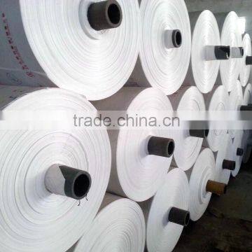 PP Woven Bag Sack Roll for Ploy Sack.cement Bag,flour Bag photo-2