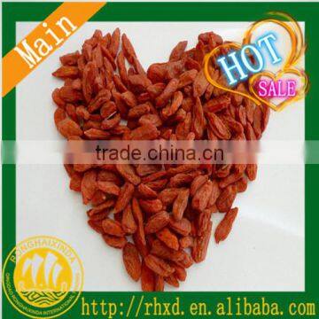 100% Natural Chinese Goji Berries For Argentina