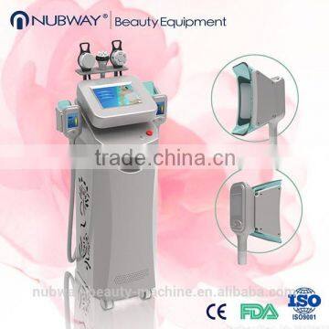 Best Price Fat Freezing Cryolipolysis Skin Tightening Body Slimming Machine Weight Loss Machine Cellulite Reduction photo-2