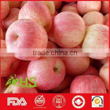 High Quality And Inexpensive Fresh Fuji Apples photo-4