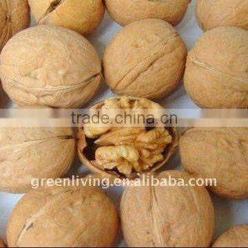 China walnut with good quality